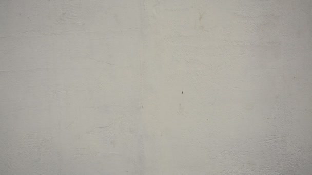 Hermoso fondo vintage. Textura de pared de estuco decorativo grunge abstracto
. - Metraje, vídeo