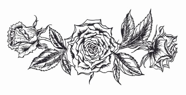 Bouquet of roses, black and white contour illustration, floral vignette isolated on a white background. - Vector, Image