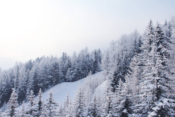 Winter mountains in Soelden - Zdjęcie, obraz