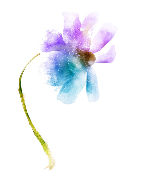 Watercolor flower isolated on white background - Foto, Bild