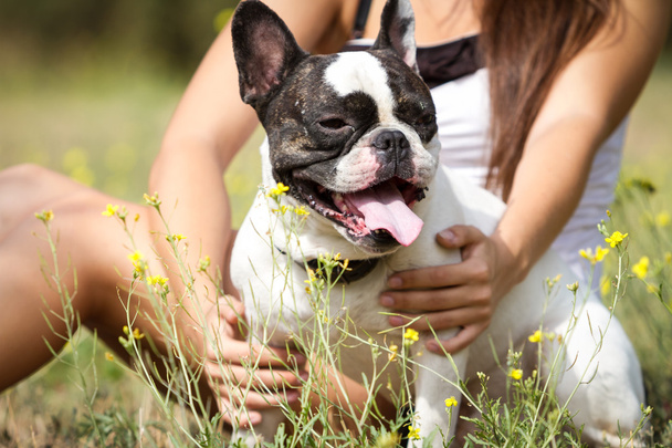 Healthy young bulldog with his hostess - 写真・画像