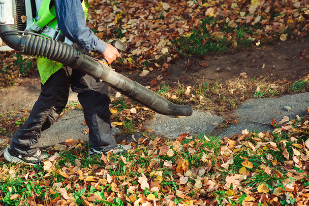 Parktaki yolu temizlemek için yaprak üfleyici kullanan bir adam. Sonbahar sezonu. Park temizleme servisi - Fotoğraf, Görsel