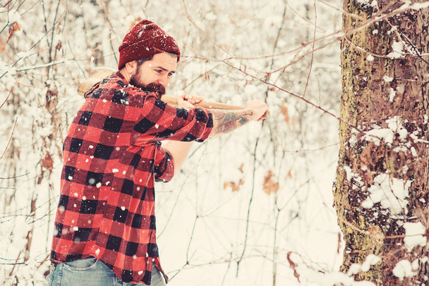 Lumberjack cortar madeira na floresta de inverno
 - Foto, Imagem