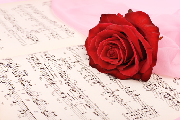 Notas musicales antiguas con una sola rosa en la parte superior
. - Foto, Imagen