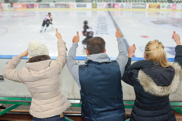 cheering at the hockey game - Photo, Image