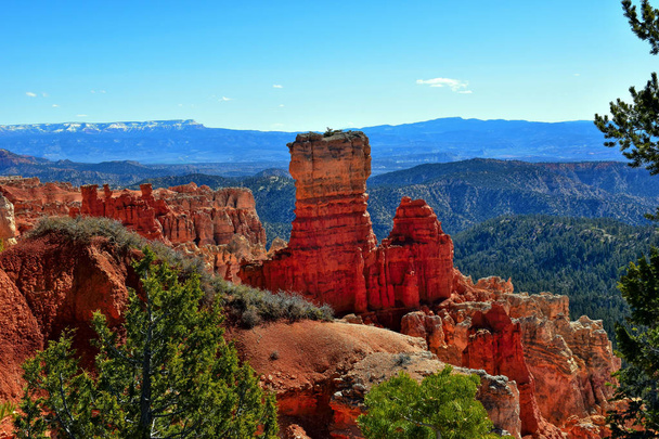 Bryce Canyon je 1 z 5 nejlepších parků v Utahu s názvem The Mighty Five. se nachází na náhorní plošině v oblasti Colorado Plateau. Nadmořská výška, podnebí, skalní typ a orientace náhorní plošiny jsou prvky při kombinaci, tvoří neobvyklé tvary nazývané hoodoos. - Fotografie, Obrázek