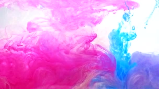 dye mix motion magenta pink blue flowing steam - Video, Çekim