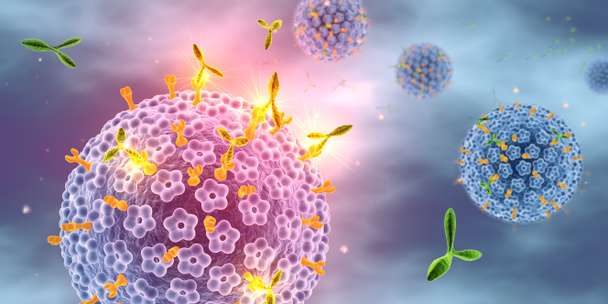 Humán papillomavírusokat (Hpv) megtámadó antitestek, orvosi 3d illusztráció - Fotó, kép
