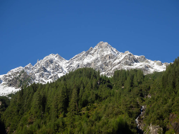 Montaña cubierta de nieve y bosque
 - Foto, imagen