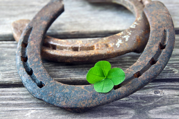 Lucky symbol horseshoe and lucky clover - Photo, Image