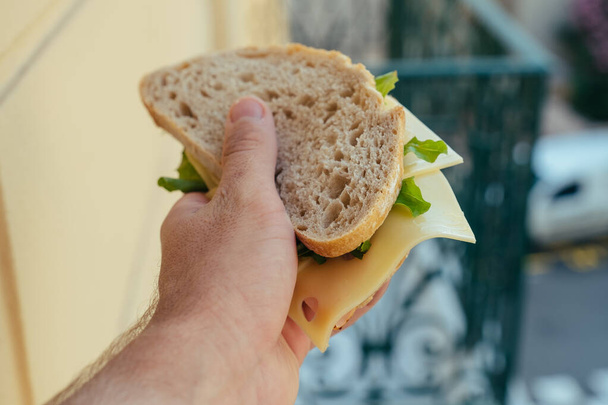 Tasty Sandwich with ham and salad in the hand - 写真・画像