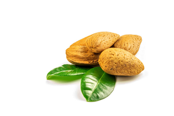 Some ripe almonds and a pair of leaves on the white background. - Photo, Image