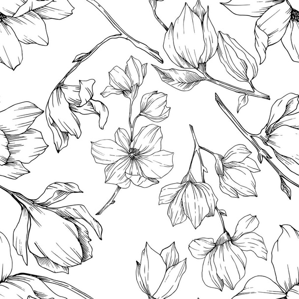 Vector Magnolia flores botânicas florais. Tinta gravada a preto e branco. Padrão de fundo sem costura
. - Vetor, Imagem