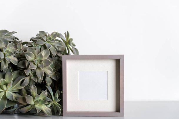 mack up gemaakt van fotolijstje in Scandinavische minimalistische interieur met vetplanten - Foto, afbeelding