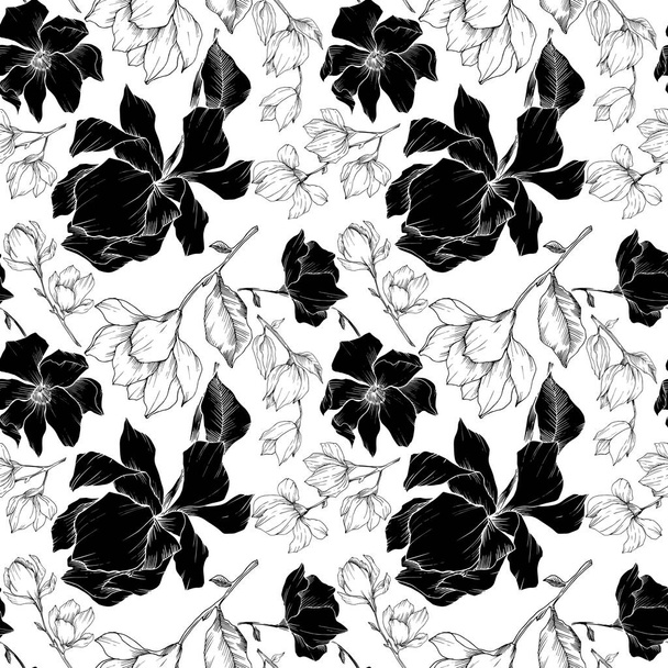Vector Magnolia цветочные ботанические цветы. Черно-белый рисунок чернил. Бесшовный рисунок фона
. - Вектор,изображение