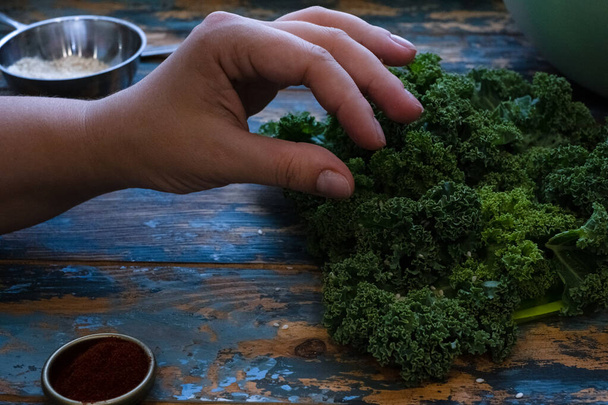 freshly harvested organic kale cabbage in her hands on a wooden background - Foto, Imagen