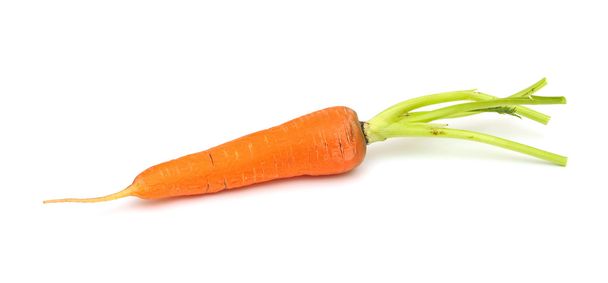 Zanahoria vegetal aislada sobre fondo blanco
 - Foto, imagen
