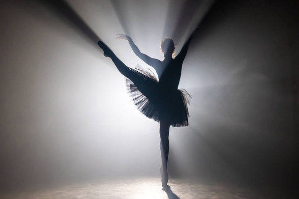 Professional ballerina dancing ballet in spotlights smoke on big stage. Beautiful young girl wearing black tutu dress on floodlights background. Black and white. - Fotografie, Obrázek