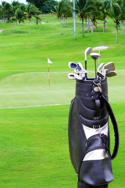 Bolsa de golf con palmera en el campo de golf
 - Foto, imagen