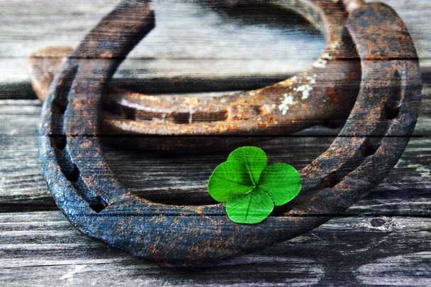 Horseshoe with lucky clover lucky background - Photo, Image