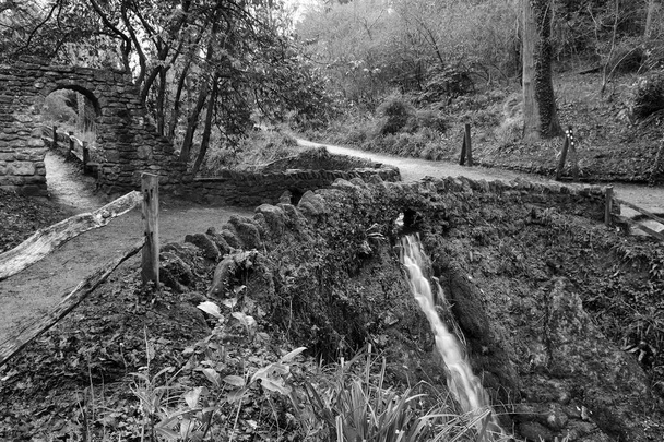 Parque de cataratas Ninesprings en Somerset
 - Foto, Imagen
