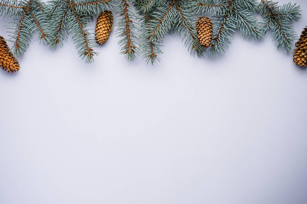Concetto natalizio. Rami di pino azzurro con coni su sfondo grigio, con posto per la vista dall'alto del testo
. - Foto, immagini