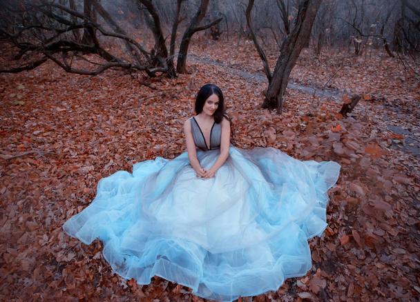 Stijlvolle vrolijke vrouw in een luxe blauwe jurk zit op de grond in gevallen oranje bladeren. Achtergrond herfstavond park met silhouetten van donkere bomen. Lang golvend zwart haar. Glimlach op een aantrekkelijk gezicht. - Foto, afbeelding