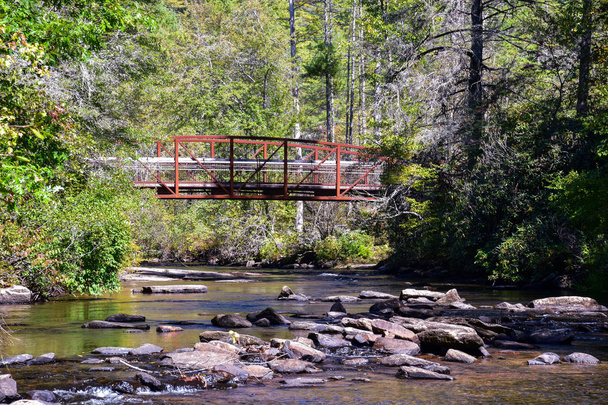Dupont Eyalet Ormanı 'ndaki Küçük Nehir Köprüsü. Kuzey Carolina Hooker Falls, Triple Falls ve High Falls Yürüyüşü' nde.. - Fotoğraf, Görsel