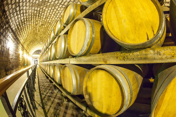  Bodega de vino con barricas de madera - Foto, imagen