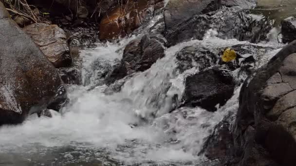 Vízesés a trópusi esőerdőben, lassított felvétel. - Felvétel, videó
