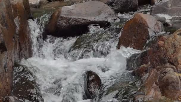 Waterfall in tropical rain forest, slow motion. - Footage, Video