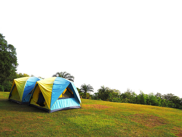 Tendas turísticas coloridas no prado de grama verde sobre backgrou branco
 - Foto, Imagem