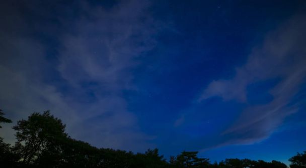 Egy csillagos égbolt az erdőben Shizuoka-ban éjszaka. - Fotó, kép