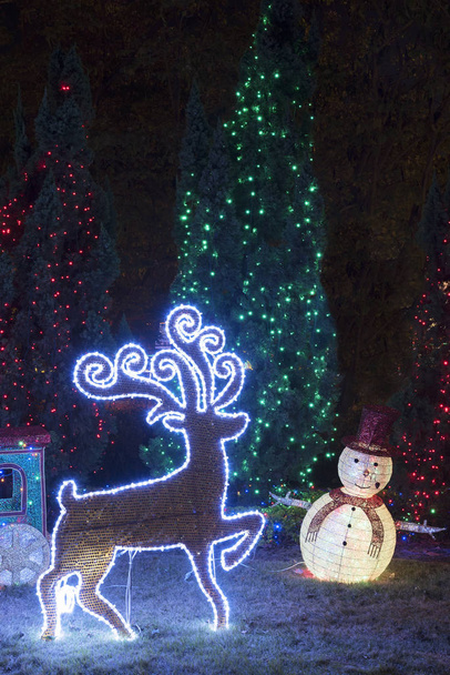 Led verlichte kerstversiering en kerstboom in de achtertuin - Foto, afbeelding