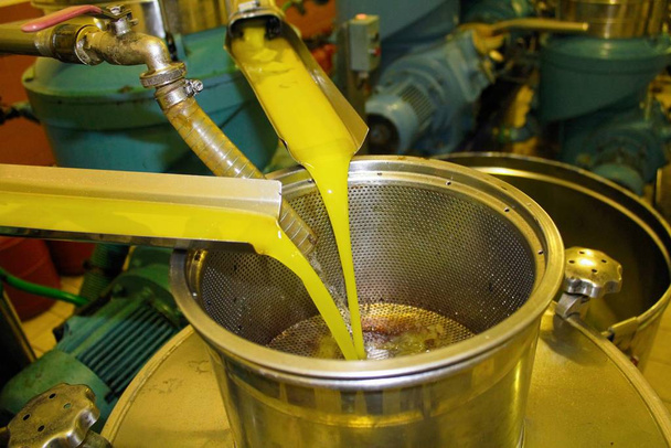 Ekstra-neitsytoliiviöljyn uuttamisprosessi oliiviöljytehtaalla Kreikassa. - Valokuva, kuva