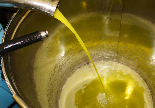 Оливковое масло в нижней части контейнера inox в процессе извлечения в оливковом масле мельницы в Греции
. - Фото, изображение