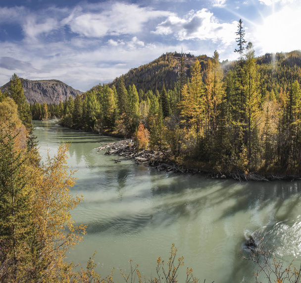 Forest river, autumn view - Zdjęcie, obraz