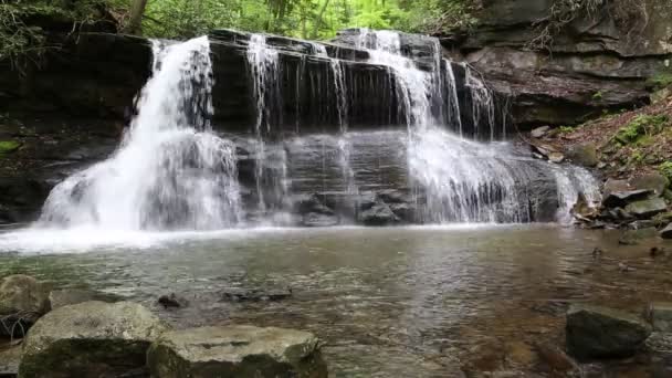 Upper Falls - Holly River Sp, Západní Virginie - Záběry, video