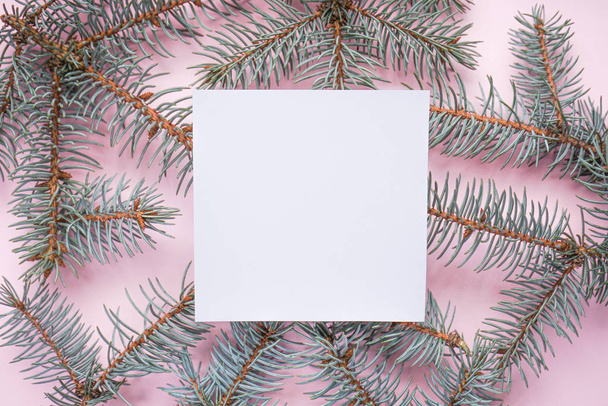 Vánoční nápad. Vánoční strom větve, na růžovém pozadí, s místem pro text, na šedém pozadí, horní pohled - Fotografie, Obrázek