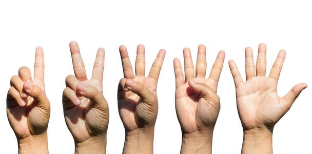 Aseta kädet laskenta yhdestä viiteen eristetty valkoinen backgro
 - Valokuva, kuva