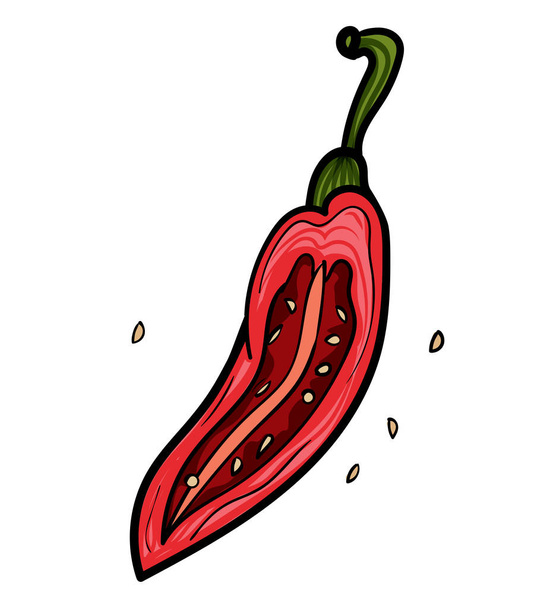 Rode hete chili peper. Geïsoleerde krabbels. Vegetarische keuken. Botanische illustratie van chili peper. - Vector - Vector, afbeelding