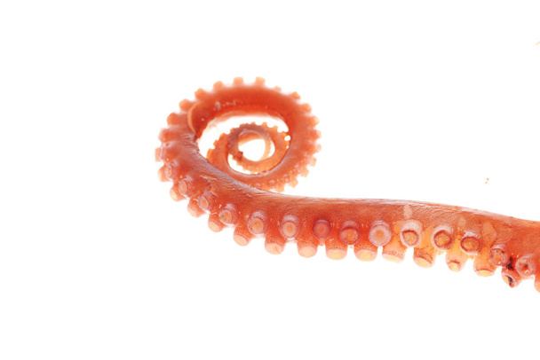 Щупальца осьминога
 - Фото, изображение