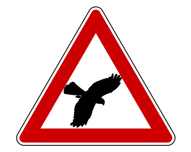Pássaro sinal de aviso swoop
 - Foto, Imagem