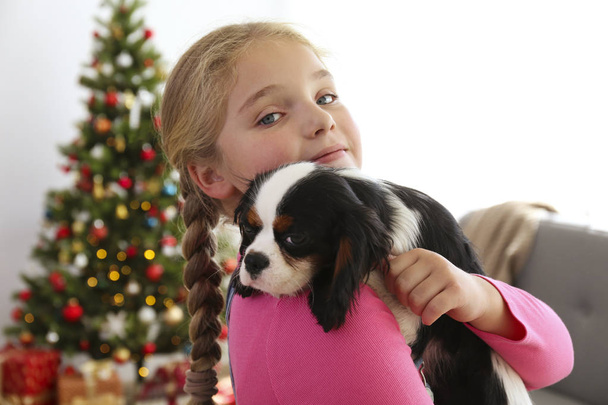 Little girl with Cavalier King Charles Spaniel sitting in front of Christmas tree, bunch of presents in festive wrapping. Puppy as present concept. Copy space, festive background. - Foto, immagini