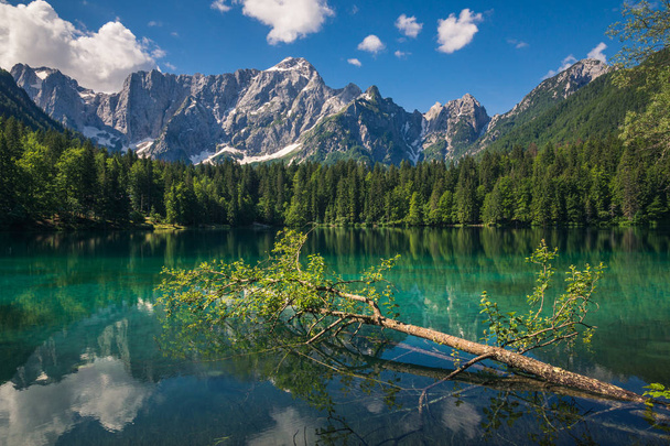 Paesaggio primaverile sul Lago di Fusine alle pendici delle Alpi Giulie
 - Foto, immagini