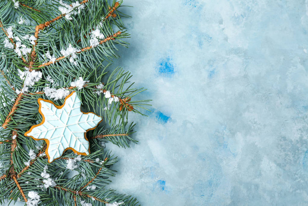 Green fir branches with snow and Christmas cookie on color background - Photo, Image
