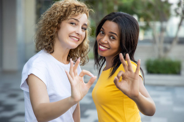Portrait of two happy multiethnic women giving ok hand gesture; caucasian woman with african woman showing good, yes, accepting, positive, deal endorsing ok gesture - Fotografie, Obrázek