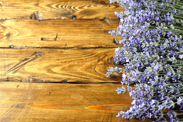 Fresh lavender - Foto, Bild