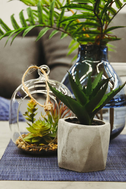 home decoration houseplant vase with flower on the table  - Photo, Image