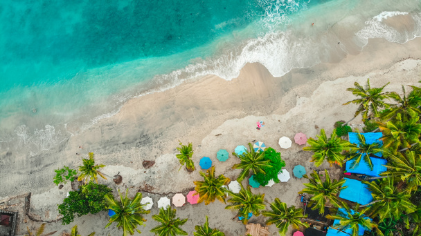 amazing aerial view of sea and sandy beach with palms and sun umbrellas,  Bali, Indonesia - 写真・画像